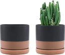 D'vine Dev Set of 2 Plants Pots, 4.6 Inch Ceramic Planter Pot for Plants with Drainage Hole and Saucer, Black/Speckled Tan, 94-V-B-7 by GreenHaven Gardens