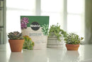Miracle-Gro Succulent Potting Mix, for Indoor Succulents, Aloe Vera and More, Made with Miracle-Gro Plant Food, 4 qt. (3-Pack) by GreenHaven Gardens