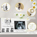 Ultrasound Picture Frames with Countdown Weeks, Baby Sonogram Picture Frame with Plant Prints for Standard 4" x 3" Love's First Ultrasound Photo, Pregnancy Announcement, Gender Reveal Baby-Shower Gift by TinyTreasures Baby Boutique