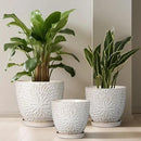 G EPGardening 10 Inch Ceramic Planter Pot with Drainage Hole and Saucer Large Plant Pot for Indoor Plants Outdoor Round Flower Pot for Home Garden Office White by GreenHaven Gardens