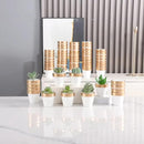 Yishang 72 pcs Small Mini White&Gold Clay Pots, 2.5'' Terracotta Pot Clay Ceramic Pottery Planter,Cactus Flower Terra Cotta Pots,Succulents Nursery Pots,with Drainage Hole,for Crafts,Wedding Favor by GreenHaven Gardens