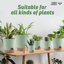 Indoor Self Watering Planters with Drainage Holes and Saucers, 8, 7, 6.5, 6, 5.5, 5 Inches, Green, 6 Pots by GreenHaven Gardens