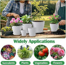 7.5/6.5/5.5/4.9/4.2/3.5 Inch Plant Pots, Plastic Flower Pots with Drainage Holes and Plate, Indoor/Outdoor Plant Planters with Different Size, 6 Pack Durable Pots for Plants, White by GreenHaven Gardens
