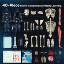 GobiDex Human Body Skeleton Model Kits, 40 Piece Anatomy Figure,Glow in The Dark Bones Interactive Science Kit, STEM Educational Toys for Boys and Girls, Halloween Physiology Gifts for Kids Ages 8+ by TinyTreasures Baby Boutique