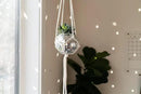 Hanging Disco Ball Planter 8" - with Acrylic Stand and Macrame Plant Hanger - Home Décor, Room Décor, Mirror Disco Planter, Disco Decor (6" with White Hanger, Flat Base) by GreenHaven Gardens