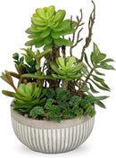 DILATATA Small Faux Plant Assorted Fake Succulents Plants Faux Succulents Arrangement Cement Potted Desk Plants Small Fake Plants for Home Table Office Bathroom Shelf Living Room Decor by GreenHaven Gardens
