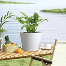 12 inch Large Self Watering Pots for Indoor Outdoor Plants, Flower Plant Pots with Mesh Drainage Holes for Garden House, Plastic Planters with Reservoir for Home, White by GreenHaven Gardens