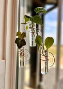 The Little Window Propagator | Window Propagation Station with Removable Glass Tubes, Indoor Plant Clippings, Cut Flowers, Herbs, Succulents | Home Decor | Plant Lover Gift (3) by GreenHaven Gardens