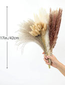 xin's convey 110pcs Dried Pampas Grass Decoration, Dried Flower Bouquet in Vase, Reed Grass Bouquet for Boho Floral Home, Wedding Party Centerpiece, Rustic Farmhouse Decoration.(Brown) by CozyNest Decor