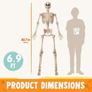 JOYIN 6.9 FT Halloween Skeleton Posable Plastic Full Body Realistic Human Bones with Movable Joints for Indoor Outdoor Halloween Props Spooky Scene Party Decorations（Yellow,No Screwdriver） by GreenHaven Gardens