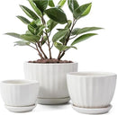 Ceramic Plant Pots with Drainage Holes and Saucers, Round White Flower Pots for Indoor Plant, Diameter 3.3/4.3/5.5 Inches Small Flower Planters Set of 3 by CozyNest Decor