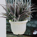 16Pcs Artificial Grass Fake Plants 17.3in Outdoor Plants UV Resistant Faux Greenery Stems Fake Grass for Home Window Garden Office Patio Pathway Front Porch Décor Green & Black by GreenHaven Gardens