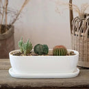 Ceramic Plant Pots, 11+14 inch, Set of 2, Planters with Drainage Holes Saucers and Mesh Pads, Indoor Flower Succulent Pot with Hole Mesh Pad, Gifts for Mom, Plants Not Included by GreenHaven Gardens