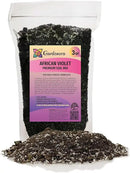 Premium African Violets and Gesneriad Premium Soil Mix by Gardenera - Horticultural Perlite (25%) + Vermiculite (25%) + Sphagnum Peat Moss (50%) - Made in USA - (3 Quart Bag)