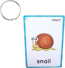 SANTSUN 14 Insects and Bugs Flashcards for Kindergarten Classroom Decoration Background Wall Stickers Teach Flash Card & Daycare Decorations Learning Cards by TinyTreasures Baby Boutique