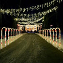 26" Christmas Decorations Outside Candy Cane Lights, Set of 10 Pack Landscape Path Lights for Yard Patio Garden Walkway Festival Holiday, Red & Green by GreenHaven Gardens