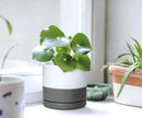 D'vine Dev Set of 2 Plants Pots, 4.6 Inch Ceramic Planter Pot for Plants with Drainage Hole and Saucer, White/Speckled Grey, 94-V-B-6 by GreenHaven Gardens