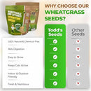 Todd’s Seeds – Cat Grass for Indoor Cats, 1lb Wheatgrass – Premium, Non-GMO, Pet-Safe & Easy to Grow – No Fillers, 100% Chemical-Free by GreenHaven Gardens