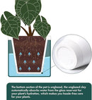 D'vine Dev 6 Inch Design Self Watering Planter for Indoor Plants, White Terracotta Pot with Teal Cylinder Glass Cup, Set of 2, 37-Y-B-5 by GreenHaven Gardens