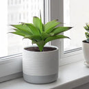 Fake Plants Artificial Agave Plants,Large UV Resistant Fake Agave Planters for Indoor and Outdoor Decorating Tropical Plant Succulents Greenery Indoor Decor13.8 (2Pack, Dark Green) by GreenHaven Gardens