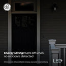 GE LED+ Motion Sensor LED Light Bulbs, 14W, PAR38 Outdoor Security Floodlights, Warm White, CAC (2 Pack) by GreenHaven Gardens