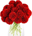 Kimura's Cabin 20pcs Fake Mums Flowers Artificial Silk Chrysanthemum Hydrangeas Ball for Wedding Arrangements Home Kitchen Party Table Centerpieces DIY Bouquets (Red) by CozyNest Decor
