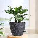 12 inch Large Self Watering Pots for Indoor Outdoor Plants, Flower Plant Pots with Mesh Drainage Holes for Garden House Plants, Plastic Planters with Reservoir for Home Decor, Speckled Black by GreenHaven Gardens