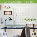 2pcs Desktop Glass Plant Propagation Station with 10 Test Tubes in Wooden Stand - Hydroponic Plants Cutting Office Home Decoration and Garden Decor Terrarium (10 Tubes) by CozyNest Decor
