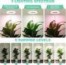 LORDEM 10" Grow Light for Indoor Plants, Full Spectrum Plant Lamp with160 LEDs, 4H/8H/12H Timer, 10 Dimmable Levels, 3 Spectrum Modes, Height Adjustable 61", Ideal for Growing Large Tall Plants by GreenHaven Gardens