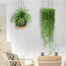 GARDIFE Hanging planters for Indoor Plants, 8 inch Hanging Planter, Self Watering Plant Pot, 2 Pack self Watering Hanging Planter, Black by CozyNest Decor