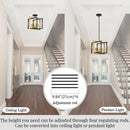 ANKYLHUA Black Gold Chandelier,6-Lights Ceiling Light Fixture E12,Adjustable Hight Pendant Lights Kitchen Island,Chandeliers for Dining Room,Bedroom,Entryway,Foyer by CozyNest Decor