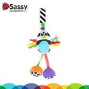 Sassy Boppin’ Birdie | Developmental Plush Toy for Early Learning | High Contrast | Attaches to Baby Gear for Travel | for Ages Newborn and Up (80660) by TinyTreasures Baby Boutique