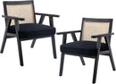 Accent Rattan Chairs Set of 2, Faux Fur Upholstered Living Room Chairs with Cane Back, Retro Mid Century Modern Cane Chair Armchair for Reception Reading Indoor Outdoor, Black by CozyNest Decor