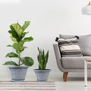 12 Inch Large Planter Pot for Plants Indoor Outdoor, 4 Pack Plastic Flower Pots with Drainage Hole & Tray, Modern Decorative Garden Pot with Saucer, Plant Container for House by CozyNest Decor