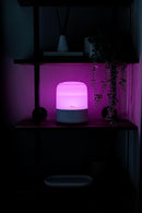 Crane Top Fill Mini Humidifier for Bedroom and Nursery 3-in-1 Essential Oil Diffuser Sleep Light 0.5 Gallon Baby Humidifier by TinyTreasures Baby Boutique
