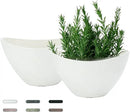 LaDoVita Plant Pots with Drainage Holes, 12 Inch Large Planters for Indoor Plants, Plastic Flower Pots Outdoor, 2 Pack, White by GreenHaven Gardens