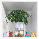 8Pcs Mini Resin Teddy Bear Figurines Cute Scarf Bears Desktop Ornaments Car Interior Decoration Garden FigurinesTiny Bear Statues Animals Sculpture Micro Landscape by GreenHaven Gardens