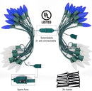 C9 LED Christmas Lights Outdoor with stakes, 25.7ft 20 LED Strawberry String Lights, Connectable Shatterproof Pathway Lights Marker for Path, Lane, Patio, Xmas Holiday Decorations, Blue and White by GreenHaven Gardens