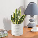 Docrin Ceramic Planters Indoor: 8 Inch Plant Pot with Drainage Holes for Home/Office - White Honeycomb by GreenHaven Gardens