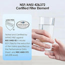 Waterdrop NSF/ANSI 42&372 Standard Gravity Water Filter, Replacement for Berkey® BB9-2® Black Filters & PF-2® Fluoride Filters, Berkey® Gravity Water Filter System and Waterdrop King Tank Series by CozyNest Decor