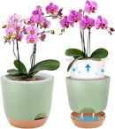 Self Watering Orchid Pots for Indoor Plants,5.8 Inch Macetas para Orqudeas,Flower Pots for Indoor Plants with Holes(Green) by GreenHaven Gardens