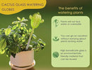 Ahhute Self Watering Globes Cactus Shape, Glass Plant Watering Globes, Self Watering Planter Insert, Cacti Plant Watering Devices, Automatic Plant Waterer Indoor, Watering Bulbs, 3 Pack by GreenHaven Gardens