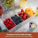 Estilo 4 Section Condiment on Ice, Clear (1-(Pack)) by CozyNest Decor