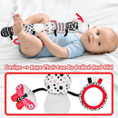 Baby Toys 0-12 Months - Musical Caterpillar Stuffed Animal Soft Plush Toys for Infant Girls Boys 3 6 12 Months Tummy Time Sensory High Contrast Black White Newborn Toys Gifts, W/ Mirror Rattle by TinyTreasures Baby Boutique
