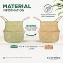 Basket Planter – Seagrass Plant Pot for Artificial Olive Tree, Decorative 6-7 Inch Indoor Wicker Pot with Handles (Original, Small) by GreenHaven Gardens