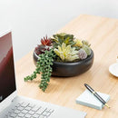 MyGift 8-Inch Artificial Succulent Plant Arrangement, Assorted Fake Plants in Modern Black Round Concrete Planter Bowl by CozyNest Decor