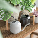 Green Moon Water Can Indoor Plant Black 1.2L/41oz with Long Spout Small Water Can Metal Watering Can Pot for Indoor House Plant Bonsai Outdoor Garden Flowers Decorative by GreenHaven Gardens