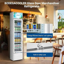 BODEGACOOLER 5.7 Cu.Ft Commercial Beverage Refrigerator,Commercial Cooler Refrigerators Glass Door Display Fridge for Bar,Drink,Tall Drink Cooler for Parties,Slim Single Door Display Fride by CozyNest Decor