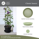 The HC Companies 14 Inch Round Plastic Classic Plant Saucer - Indoor Outdoor Plant Trays for Pots - 14"x14"x2.5" Seafoam by GreenHaven Gardens