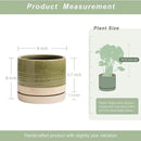 8 Inch Pots for Plants, Ceramic Planter Pot with Drainage Hole & Saucer, Indoor/Outdoor Cylinder Round Planter Pot, Green & Beige by GreenHaven Gardens